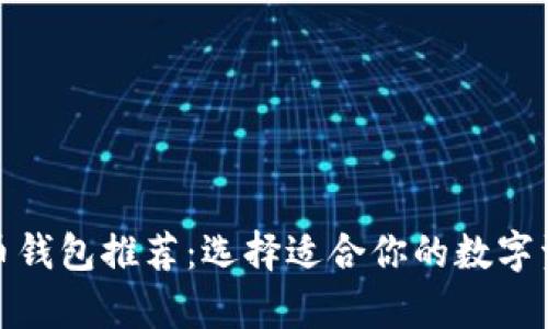 最好的比特币钱包推荐：选择适合你的数字资产存储方案