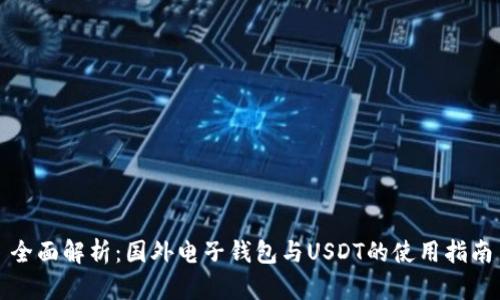 全面解析：国外电子钱包与USDT的使用指南