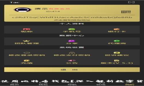 为什么你一定要使用比特币钱包？深入解析数字货币的安全与便捷