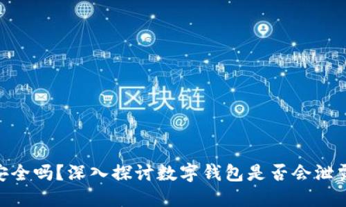imToken安全吗？深入探讨数字钱包是否会泄露用户信息