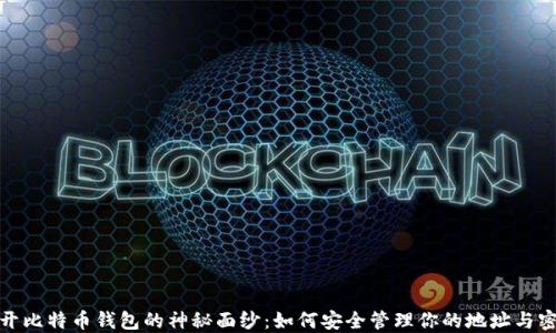 
揭开比特币钱包的神秘面纱：如何安全管理你的地址与密码