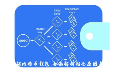 如何解锁比特币钱包：全面解析锁仓原因与解决方案