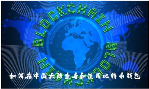 如何在中国大陆查看和使用比特币钱包