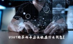 USDT购买的币应该放在什么
