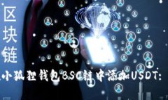 : 如何在小狐狸钱包BSC链中