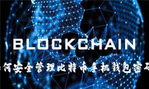 如何安全管理比特币手机钱包密码？