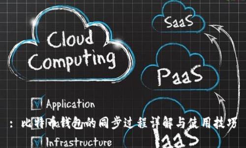 : 比特币钱包的同步过程详解与使用技巧