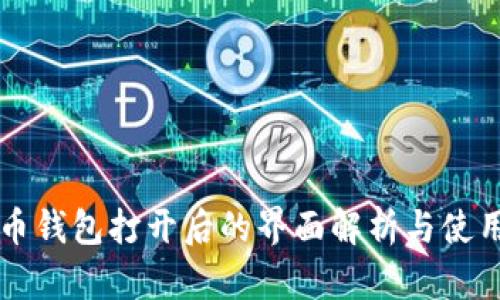 比特币钱包打开后的界面解析与使用指南