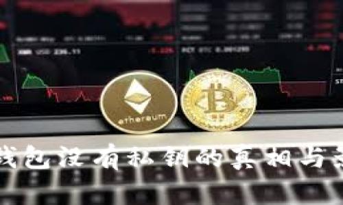 比特币钱包没有私钥的真相与影响分析