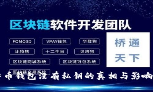 比特币钱包没有私钥的真相与影响分析