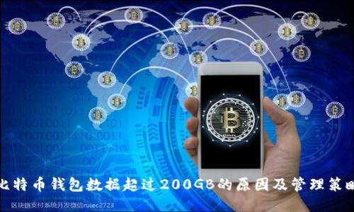 比特币钱包数据超过200GB的原因及管理策略