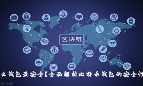 比特币用什么钱包最安全？全面解析比特币钱包的安全性与选择指南