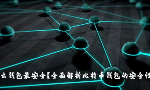 比特币用什么钱包最安全？全面解析比特币钱包的安全性与选择指南