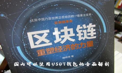 国内可以使用USDT钱包的全面解析