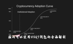 国内可以使用USDT钱包的全