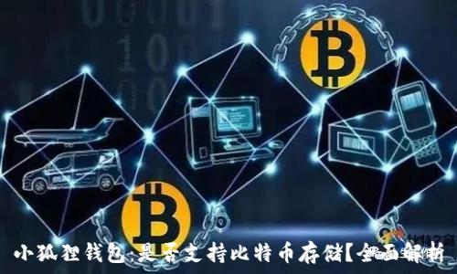  
小狐狸钱包：是否支持比特币存储？全面解析