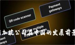Web3新加坡公司在中国的发