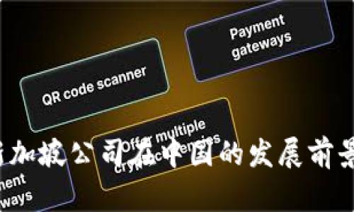 Web3新加坡公司在中国的发展前景与挑战