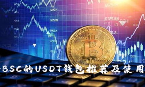 支持BSC的USDT钱包推荐及使用指南
