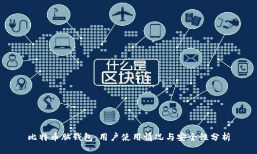 比特币脑钱包：用户使用情况与安全性分析