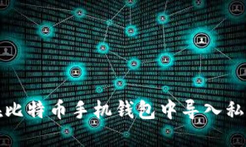如何在比特币手机钱包中导入私钥教程