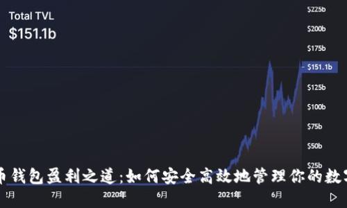 比特币钱包盈利之道：如何安全高效地管理你的数字资产