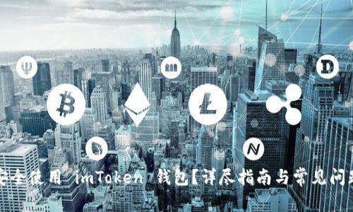如何安全使用 imToken 钱包？详尽指南与常见问题解答