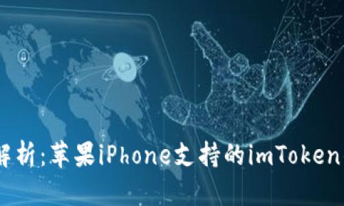 全方位解析：苹果iPhone支持的imToken钱包APP