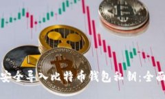如何安全导入比特币钱包
