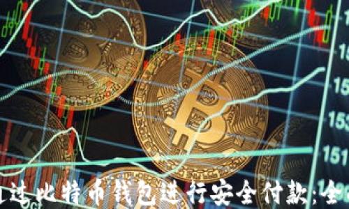 
如何通过比特币钱包进行安全付款：全面指南