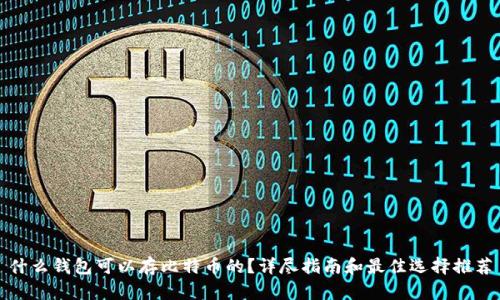 什么钱包可以存比特币的？详尽指南和最佳选择推荐