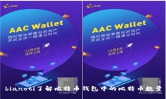 bianoti了解比特币钱包中的