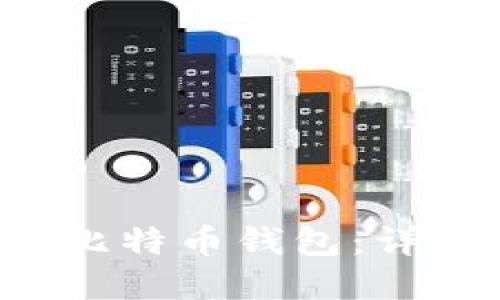 如何在U盘中安装比特币钱包：详尽指导与实用技巧