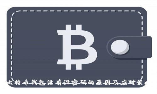 比特币钱包没有设密码的原因及应对策略