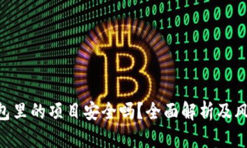 imToken钱包里的项目安全吗？全面解析及风险防控措施