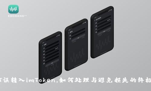 USDT误转入imToken，如何处理与避免损失的终极指南