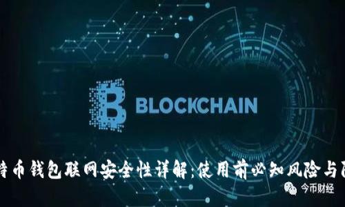 比特币钱包联网安全性详解：使用前必知风险与防范