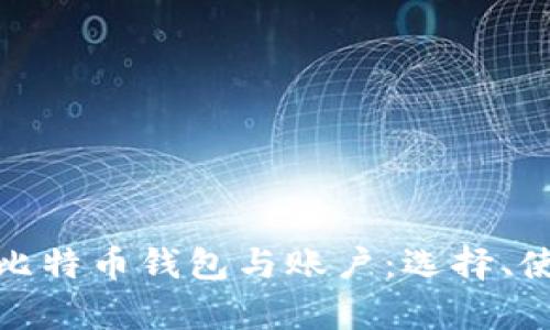 全面解析比特币钱包与账户：选择、使用与安全