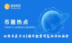 比特币是什么？揭开数字