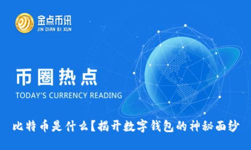 比特币是什么？揭开数字钱包的神秘面纱