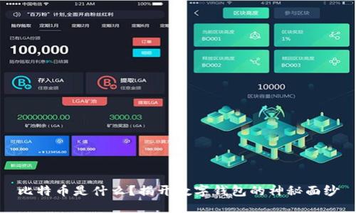 比特币是什么？揭开数字钱包的神秘面纱
