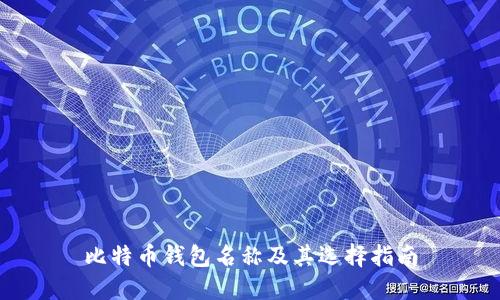 比特币钱包名称及其选择指南