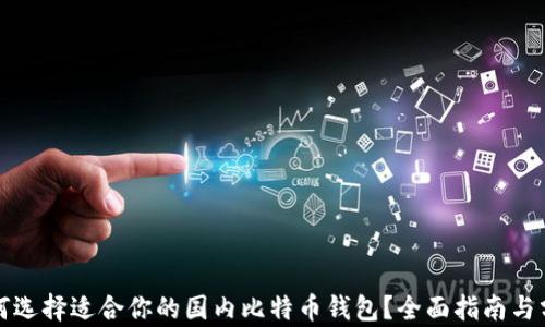 
如何选择适合你的国内比特币钱包？全面指南与分析