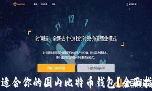 
如何选择适合你的国内比特币钱包？全面指南与分析