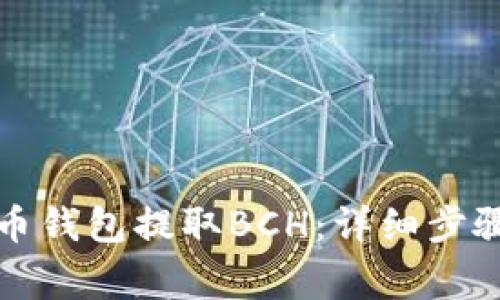 如何从比特币钱包提取BCH：详细步骤与注意事项