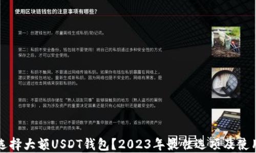 
如何选择大额USDT钱包？2023年最佳选项及使用指南
