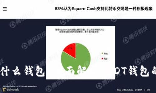 收取USDT用什么钱包？全面解析USDT钱包的选择与功能
