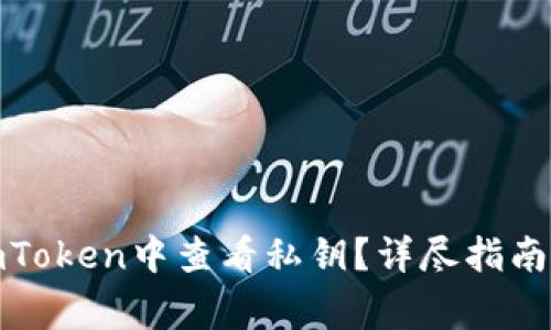 : 如何在imToken中查看私钥？详尽指南与注意事项