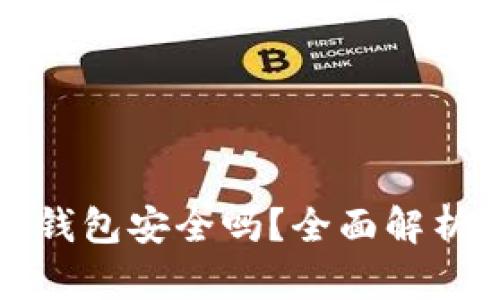 比特币下载到钱包安全吗？全面解析比特币安全性