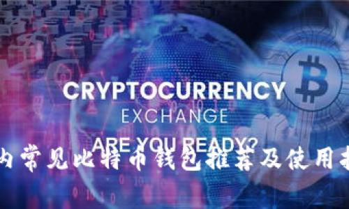 国内常见比特币钱包推荐及使用指南